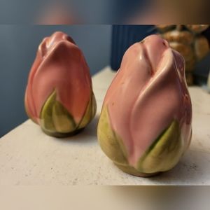 Franciscan Desert Rose Salt & Pepper Shaker Set